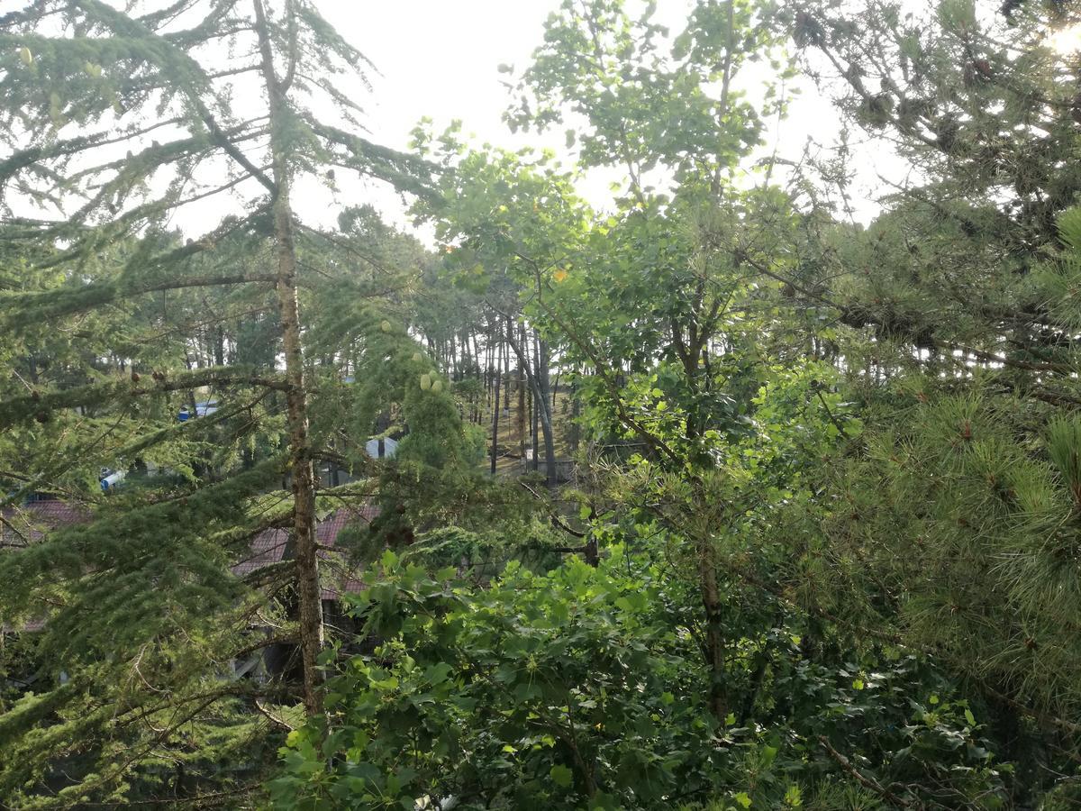 Studio Apartment With Great View Ureki Ngoại thất bức ảnh
